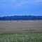 Rural Oneida Co.
