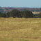 Looking Toward Yosemite 108/120
