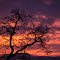 Fire in the Sky
