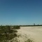 Cook and Brown Prarie