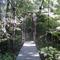 Hanging Bridge