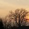 Sun Set