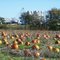Gallrein Farm Pumpkins, Silos