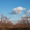 "Blue skies at Tulare"