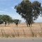 On the Road - California - Tulare