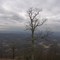 Blue Ridge Parkway