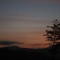 Warm Nights