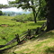 Boone's Trace