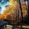 Blue Ridge Pkwy, NC, oct 17, 2000