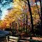 Blue Ridge Pkwy, NC, oct 17, 2000