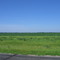 Open Field, HWY 29