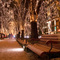 Illuminated Avenue
