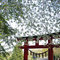 Kamo shrine