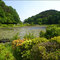 Dainohara forest park