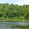 Outlet Pond for Eagles Mere Lake