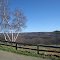 Wrights View