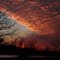 Sunset at the campgrounds in Jarrell, Texas