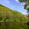 Whitmore Pool  from east