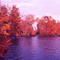 Conn. Pond in the Fall