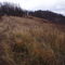 Kings Bluff, Great River Bluffs State Park, MN