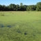 Perrot State Park