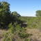 CPhelan_ View west into site