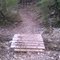Trail