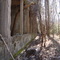 Graysonia Lumber Kiln 120' x 160'