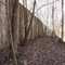 Lumber Kiln West Wall Graysonia