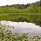 Chopper Pond
