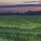 Sun Paints the Sky Red Over A Green Field