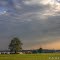 Evening's Angular Light