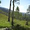 Peltier-Bailey Lake Trail