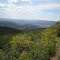 West Oriented View of White River Valley From near Buford Peak