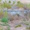 2011_09-10_Centrahoma Oklahoma_P1160488_1911 RR Culvert