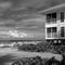 Palm Island near Cape Haze, FL in Black and White