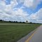 Point to NE in Daniels Parkway, Fort Myers, Florida, United States.