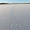 Sled trace from Lake Lansing boat launch