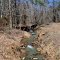 Campbell Woodland Trail
