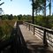 C.R.E.W. Pop Ash Slough Trail Boardwalk