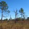 Spirit-of-the-Wild Wildlife Management Area