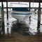 Cross Lake Flooding - 3/3/2001