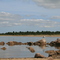 Waquoit
