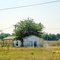 2011,  Ash Grove, MO, USA - farm shack