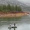Clark Fork - Vacationing in Idaho and Montana