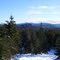 View from usfs 2955