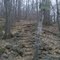 Looking Up Paradise Lane Trail from Intersection with Undermountain Trail, Salisbury, CT April 16 2011