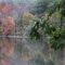 fisher-pond-2011d.jpg