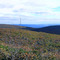 Connecticut countryside from Mt. Frissell