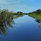 bass spot